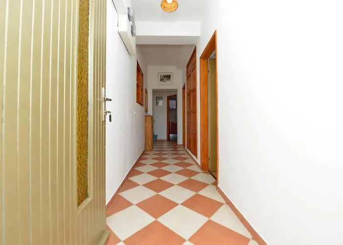 公寓 Kima With Garden 扎达尔